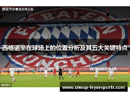 西格诺里在球场上的位置分析及其五大关键特点 西格诺里在球场上的位置分析及其五大关键特点