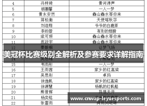 美冠杯比赛级别全解析及参赛要求详解指南