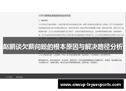 赵鹏谈欠薪问题的根本原因与解决路径分析
