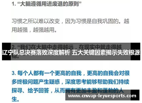辽宁队总决赛落败深度解析 五大关键因素揭示失败根源