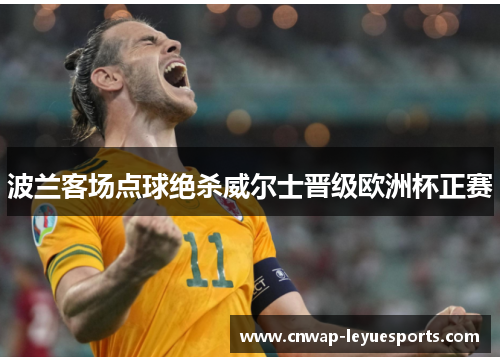 波兰客场点球绝杀威尔士晋级欧洲杯正赛